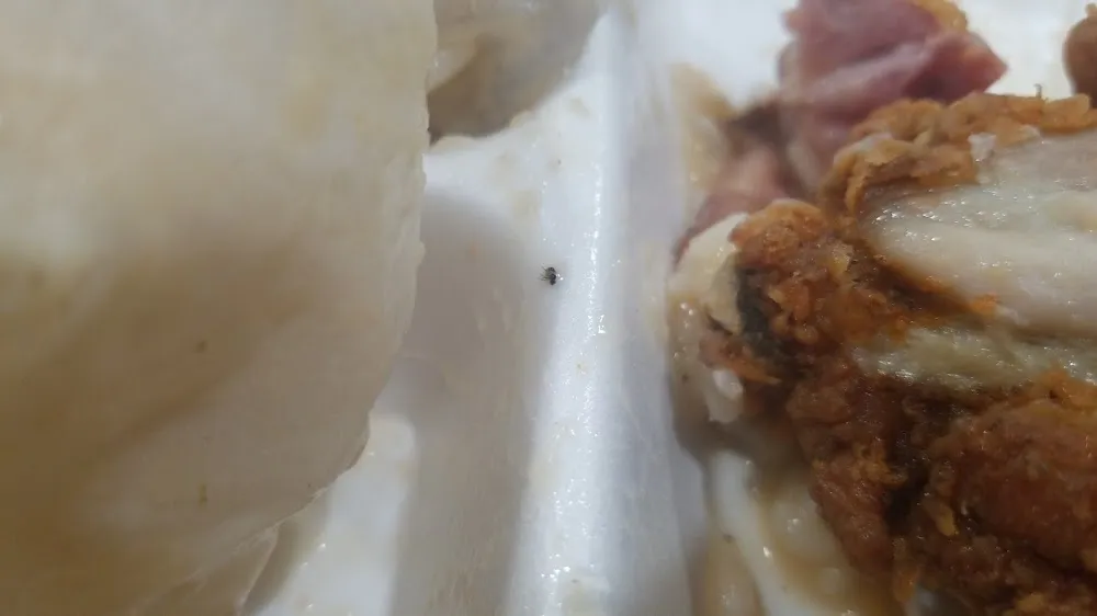 Jiaozi